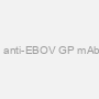 Chimeric anti-EBOV GP mAb (h13F6)